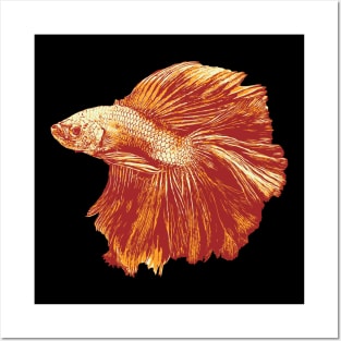 Halfmoon Betta Fish Posters and Art